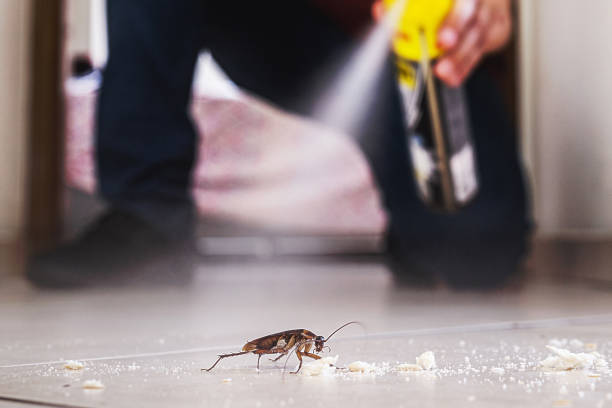 Best Best Pest Control Companies  in Kingsley, IA