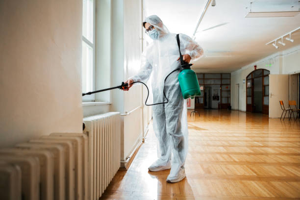 Best Best Pest Control Companies  in Kingsley, IA